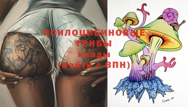 экстази Коряжма