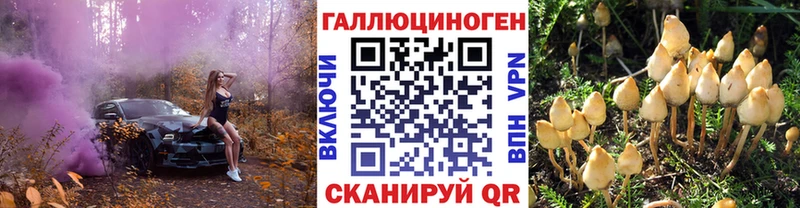 Галлюциногенные грибы прущие грибы  Купить закладки  Спасск-Рязанский 
